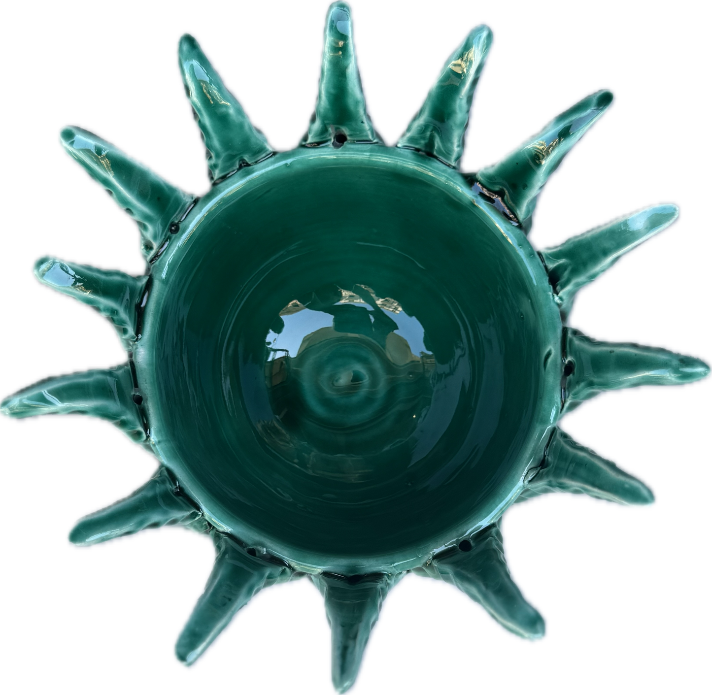 Vaso Agave