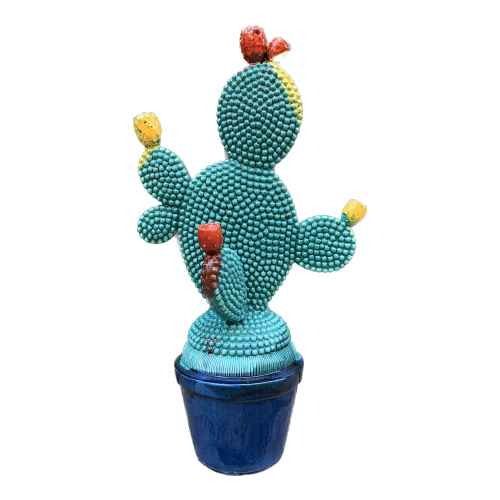 Pianta Pala di fico d'India Pantelleria