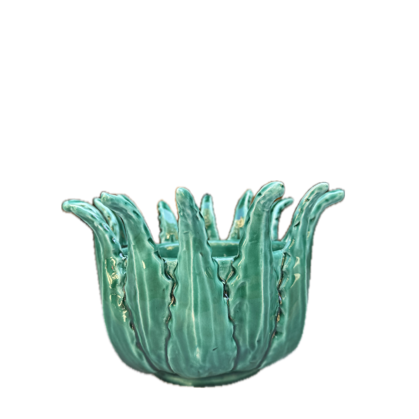 Vaso Agave