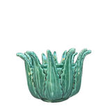 Vaso Agave