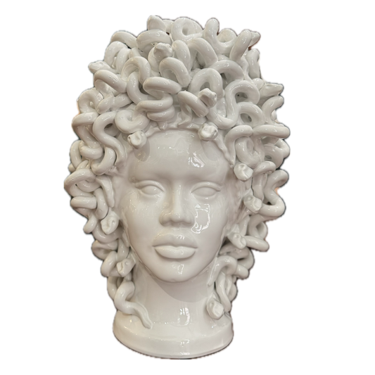 White Medusa Head