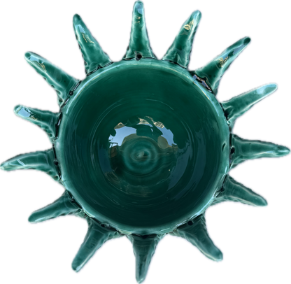 Vaso Agave